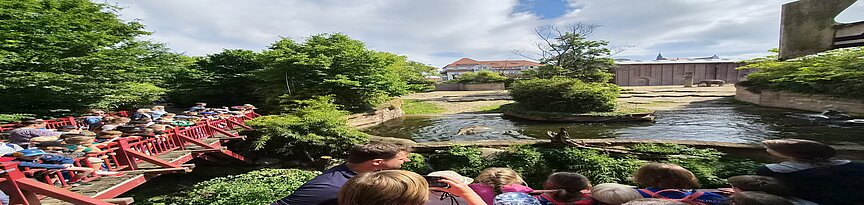 Kinder beobachten das Elefantebaden im Außenbecken