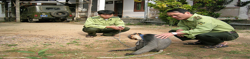 Zwei  Ranger und ein Affe, EPRC Beschlagnahmung auf Rangerstation