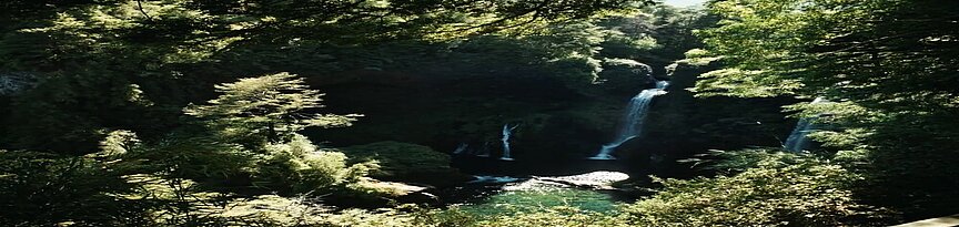 Ein dichter, ursprünglicher Wald in Chile mit üppigem Moos, sattgrüner Vegetation und einem hohen Wasserfall, der zwischen den Bäumen in einen klaren Bach stürzt.
