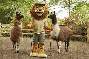Zoo-Maskottchen "Tammi" mit den Lamas "Flax" und "Krümel"