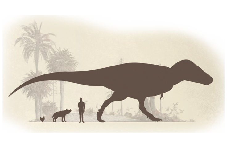 Tyrannosaurus rex | Zoo Leipzig