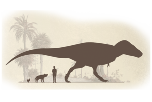 Größenvergleich Tyrannosaurus-rex
